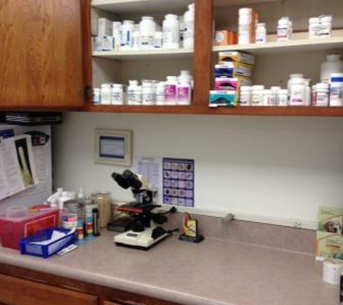 Interior of Canyon Animal Hospital, built by Platinum X Construction