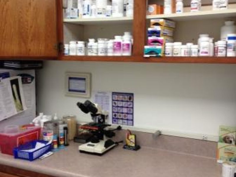 Interior of Canyon Animal Hospital, built by Platinum X Construction