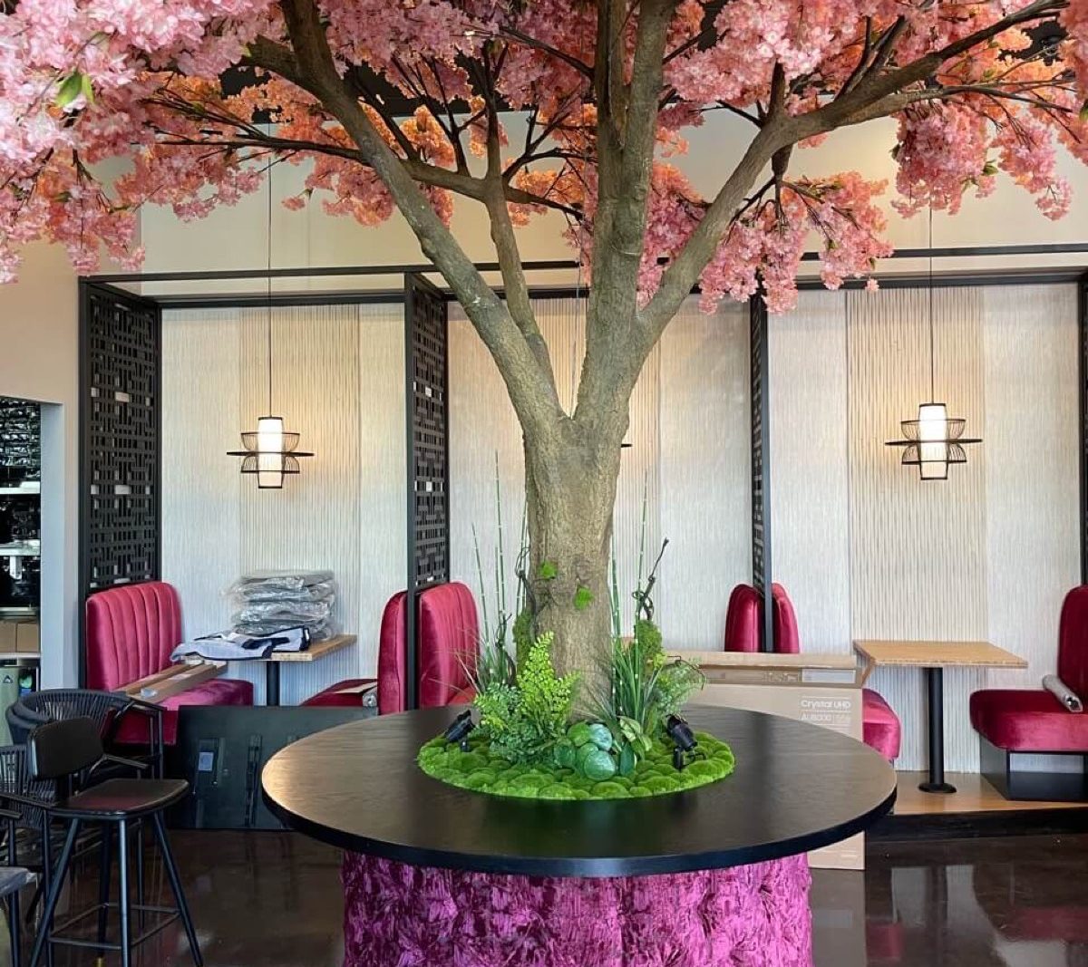 Ten Asian Bistro interior, photo 1
