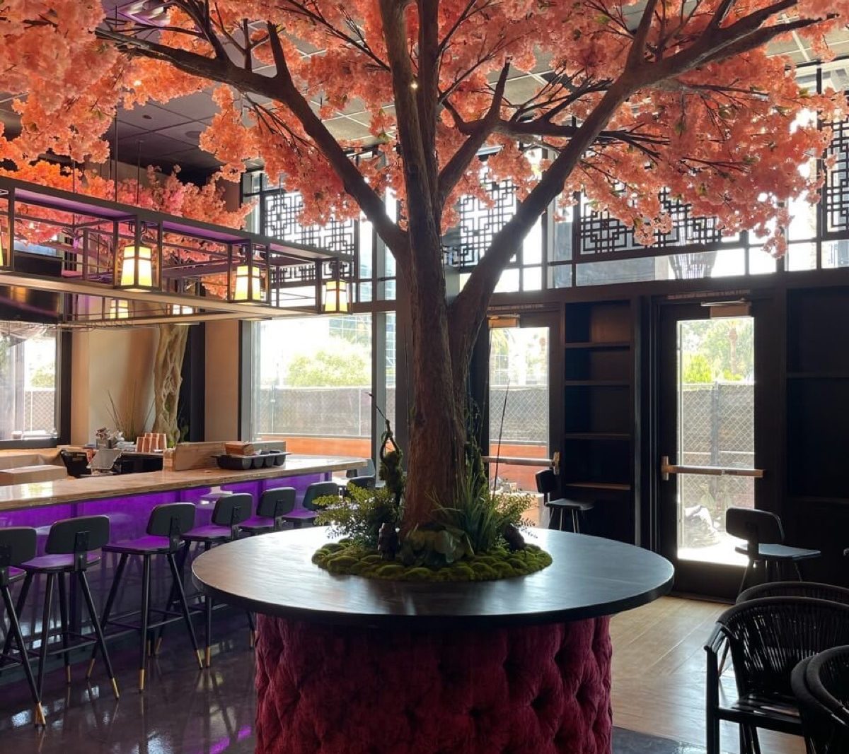 Ten Asian Bistro interior, photo 2