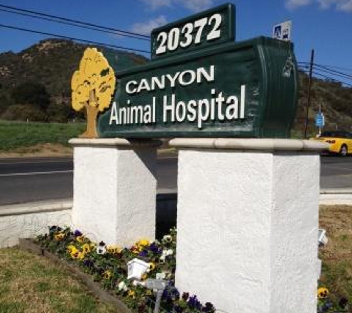 Canyon Animal Hospital interior, photo 2